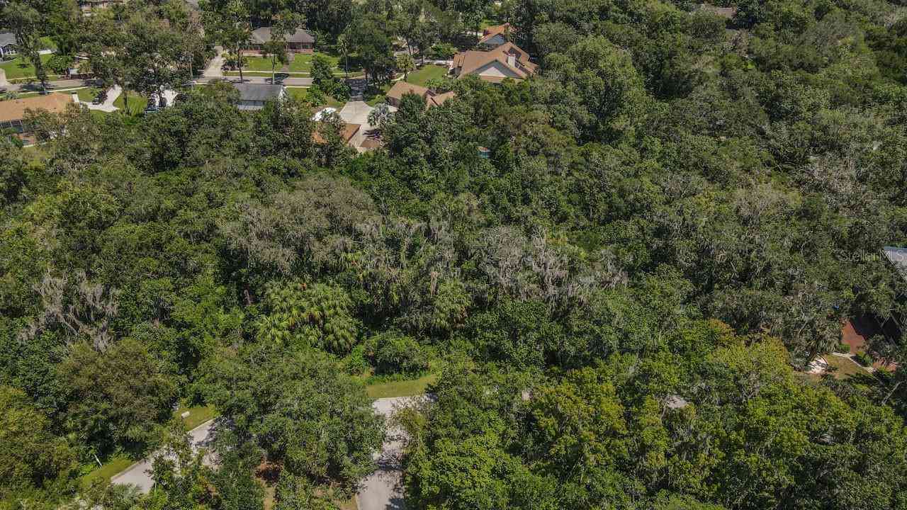 4808 Rambling River Road, BRANDON, Florida image 8