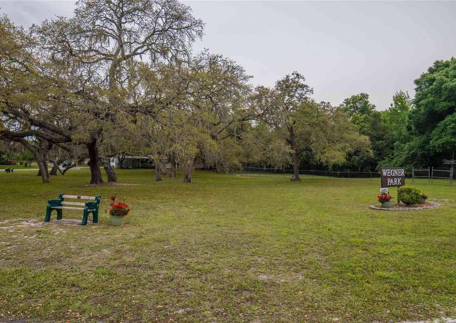 34928 Fraser Street, DADE CITY, Florida image 79