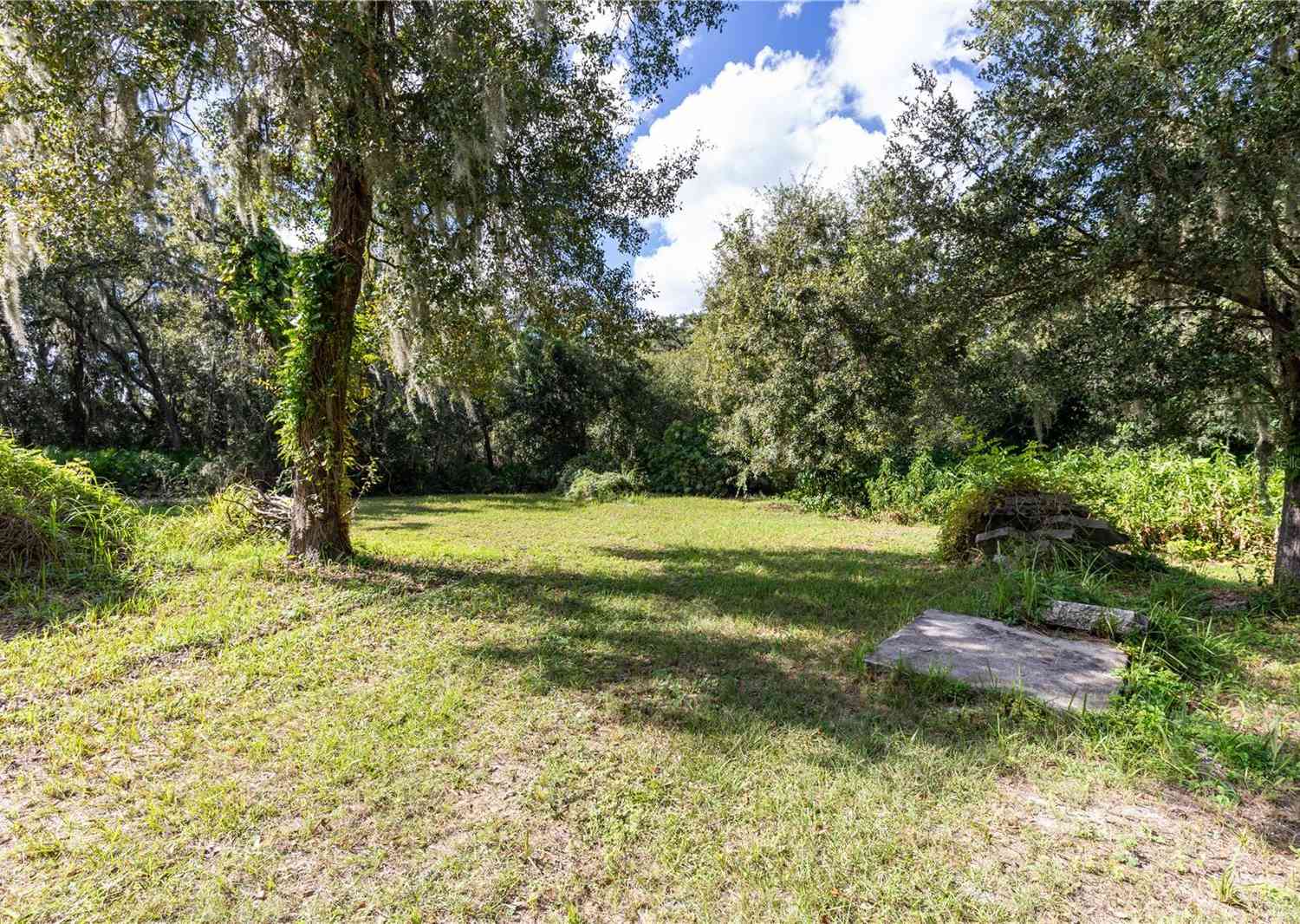 12213 S Us Hwy 301, RIVERVIEW, Florida image 6