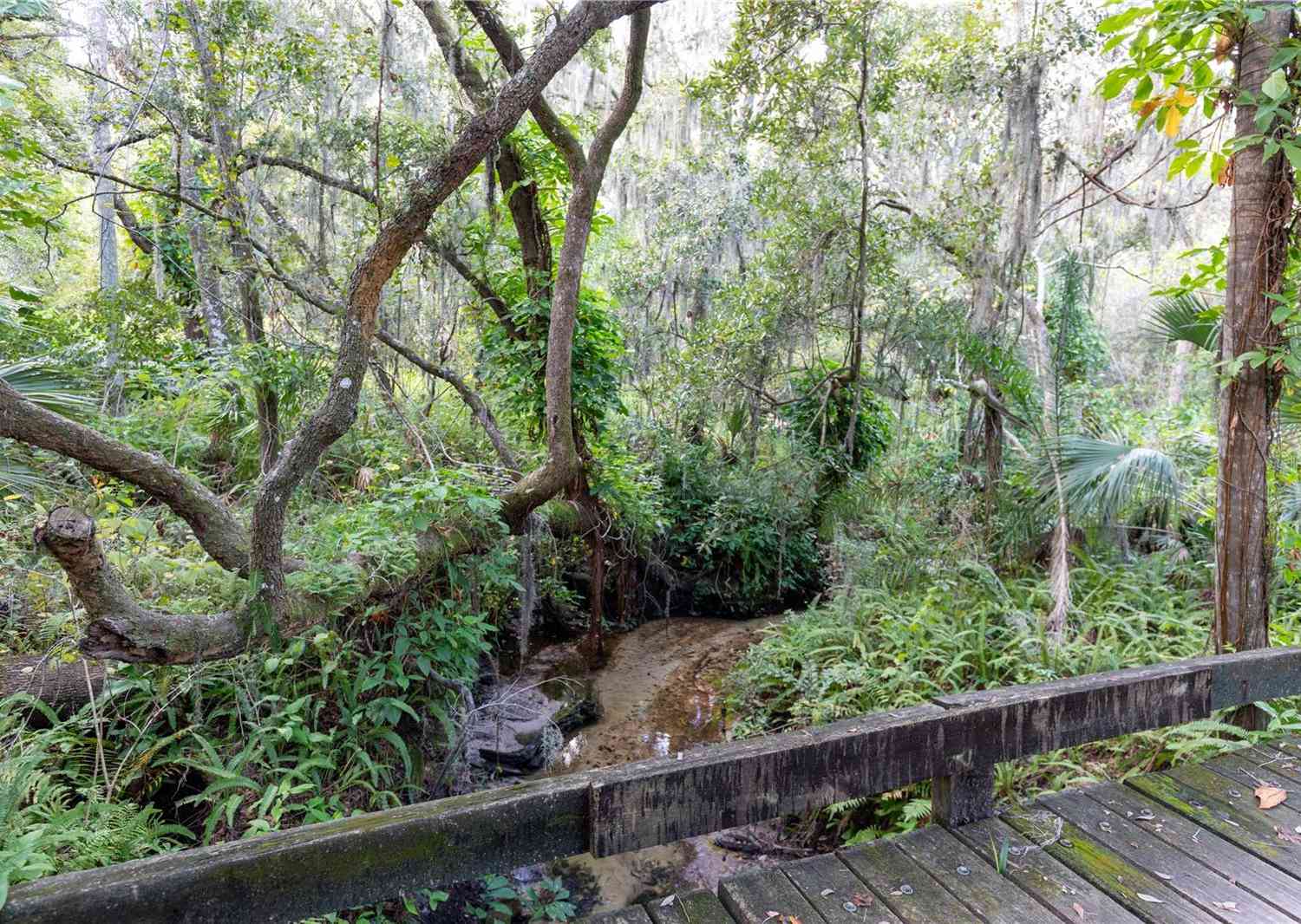 12213 S Us Hwy 301, RIVERVIEW, Florida image 10