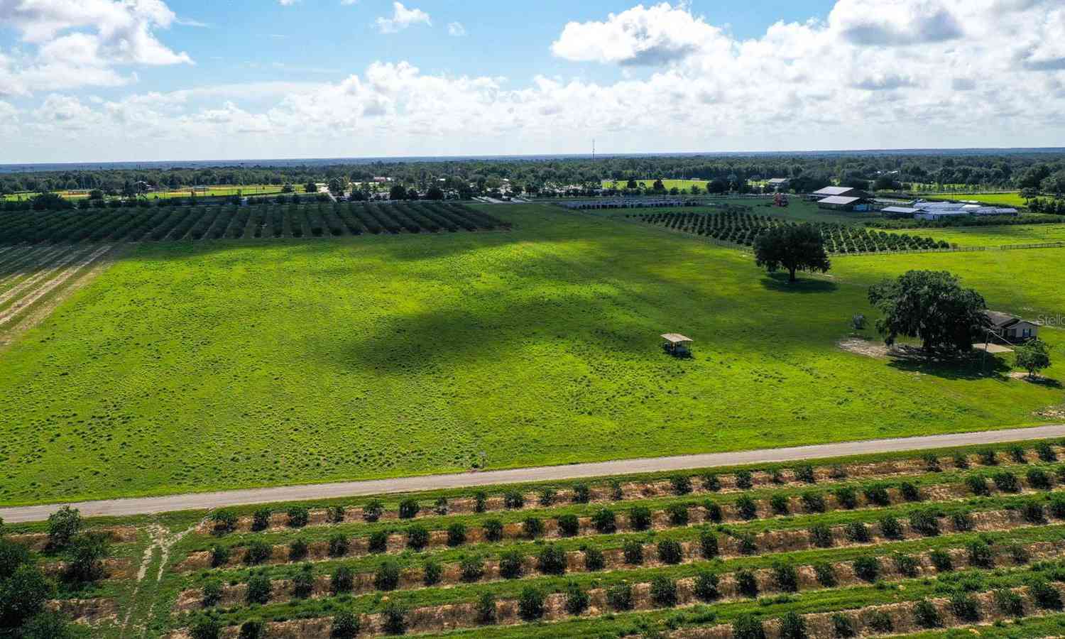 Charles Osborne Road, Umatilla, Florida image 2
