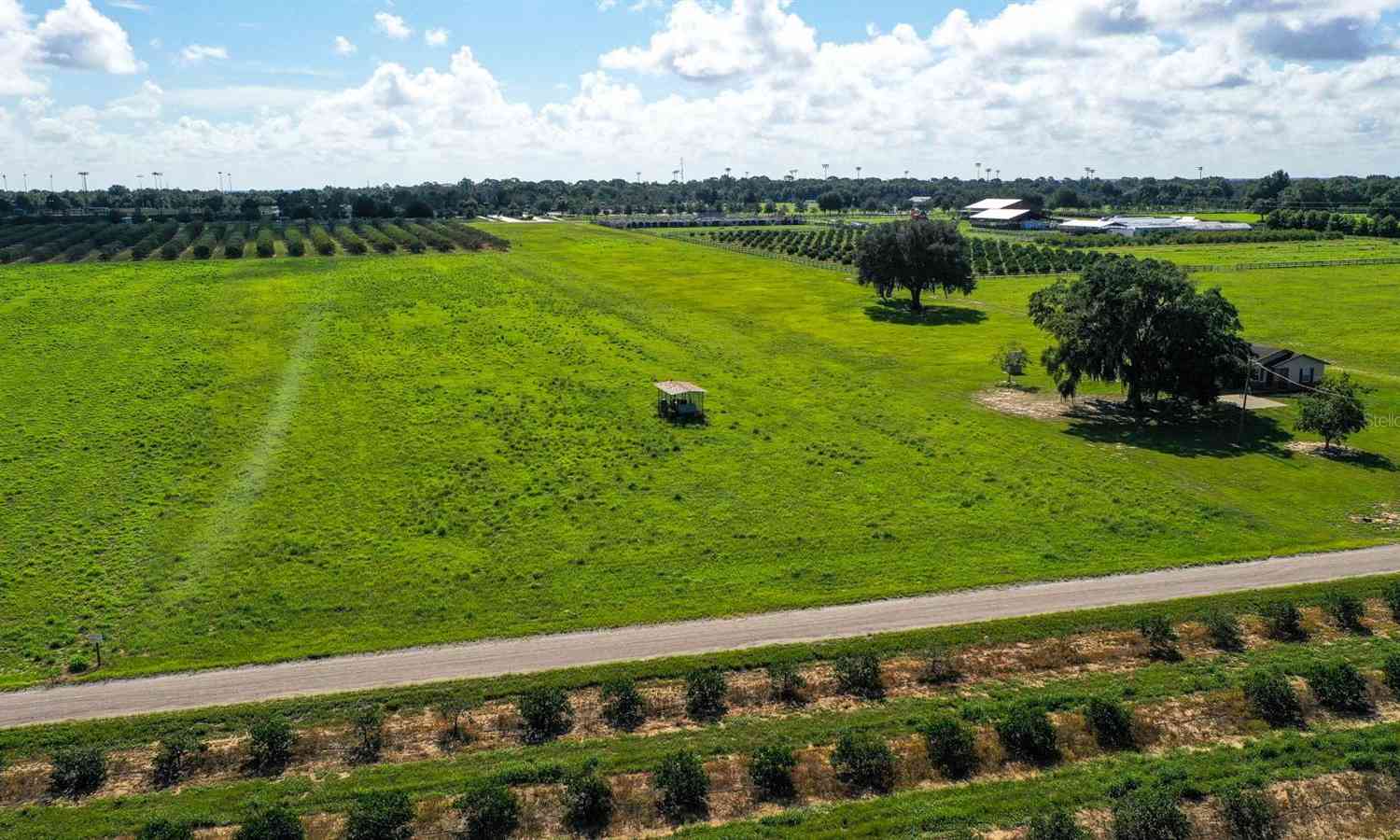 Charles Osborne Road, Umatilla, Florida image 15