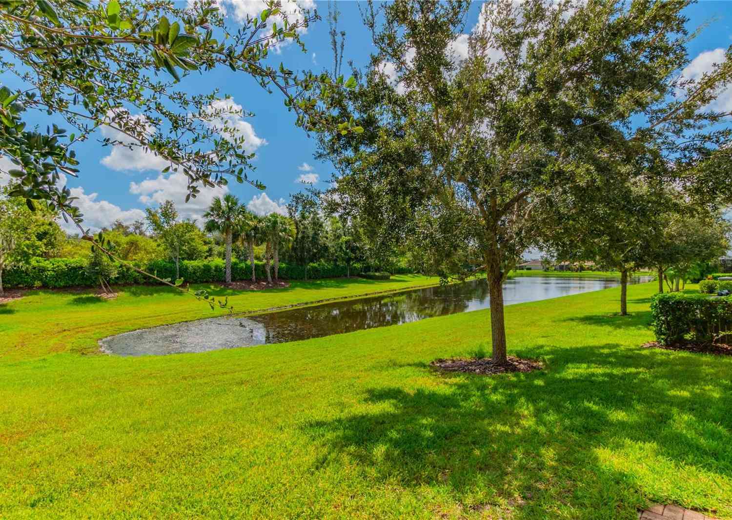 15722 Aurora Lake Circle, WIMAUMA, Florida image 34