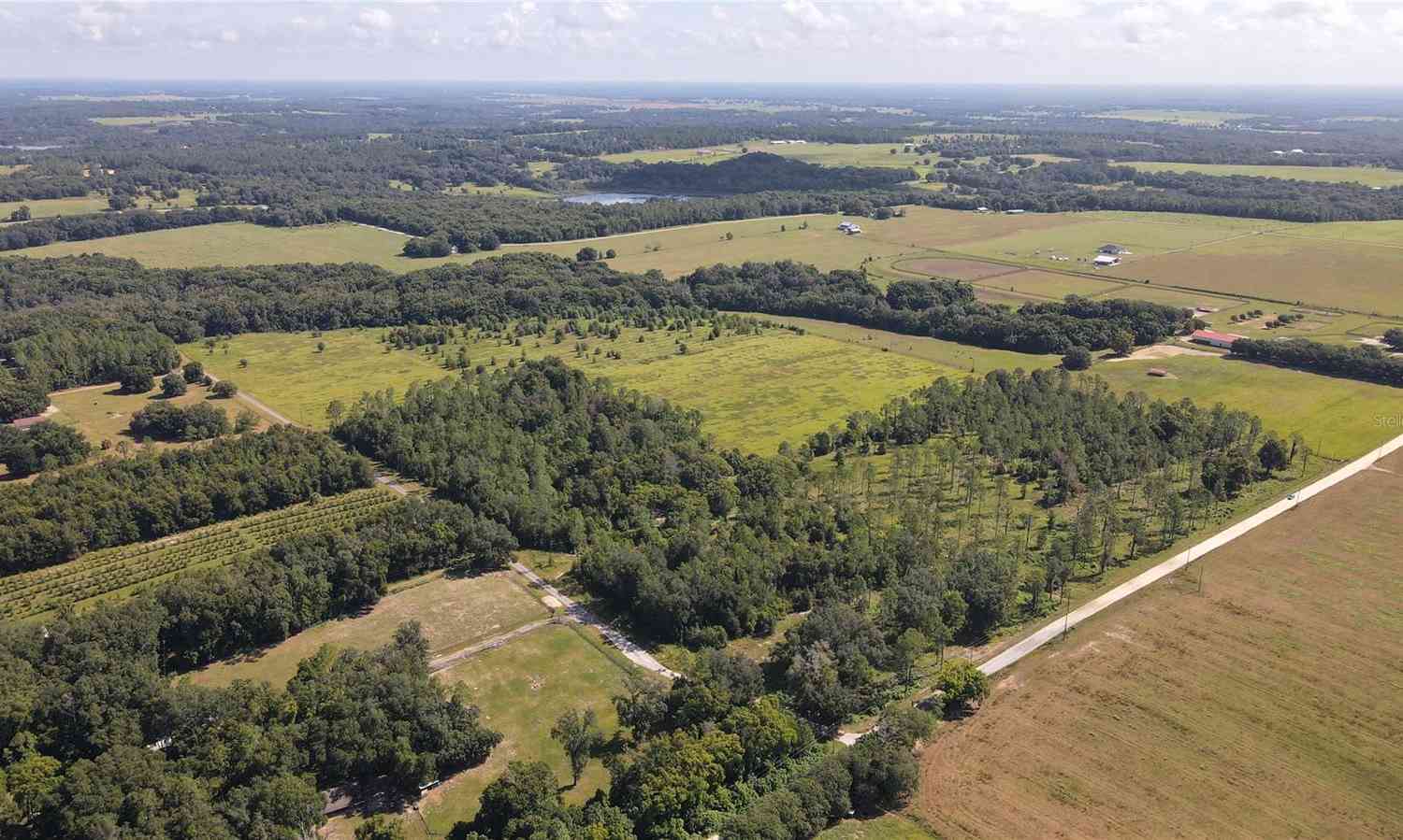 Amberlea Road, DADE CITY, Florida image 10