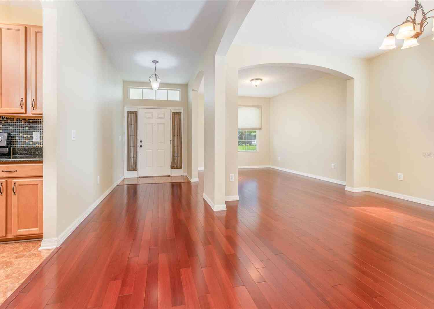 10741 Rockledge View Drive, RIVERVIEW, Florida image 16