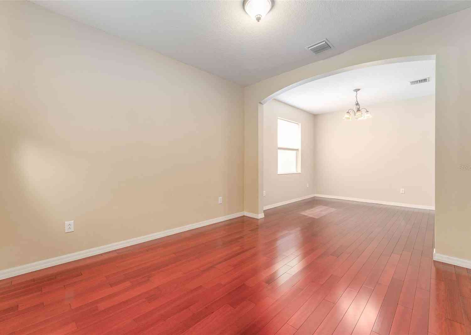 10741 Rockledge View Drive, RIVERVIEW, Florida image 19