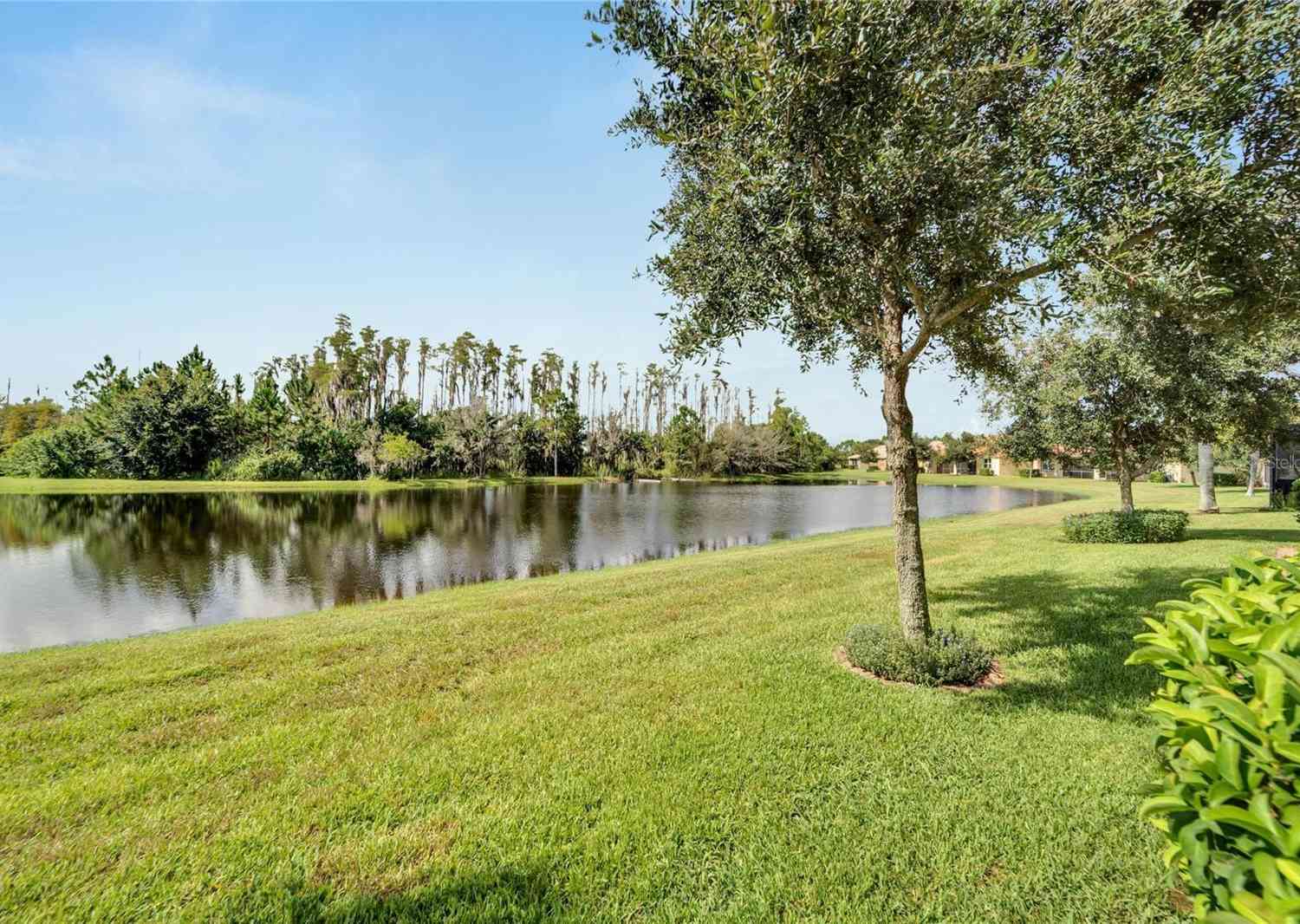 15641 Aurora Lake Circle, WIMAUMA, Florida image 9