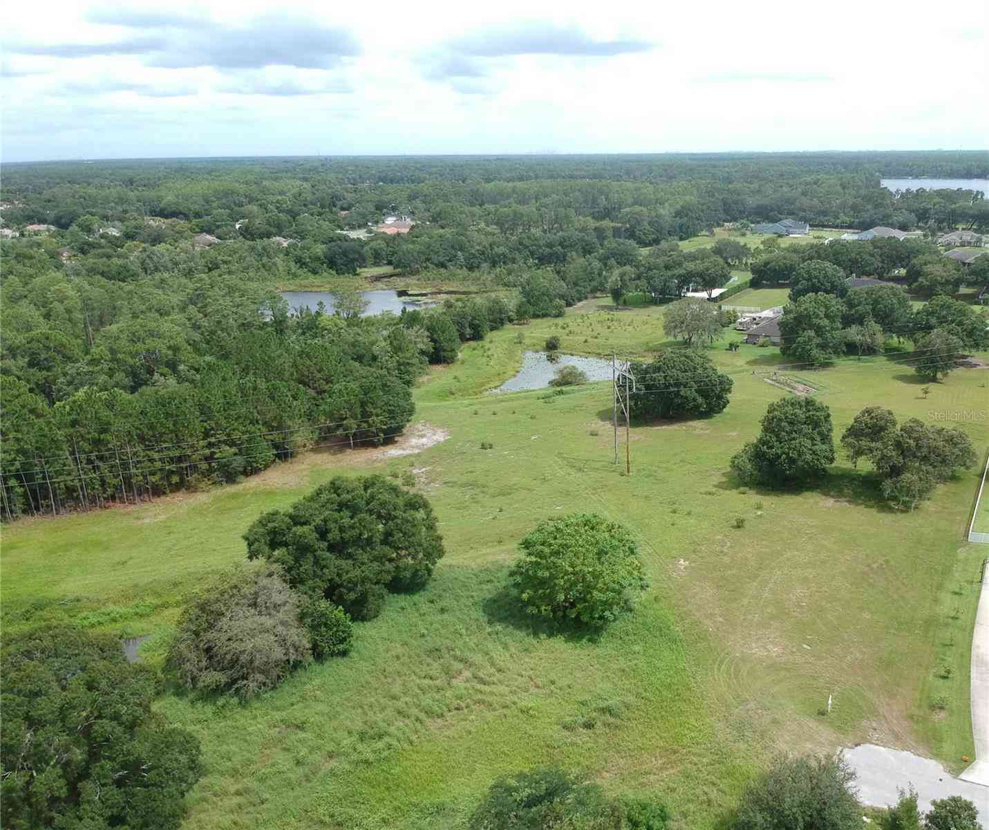 7702 Rosa Maria Lane, ODESSA, Florida image 1