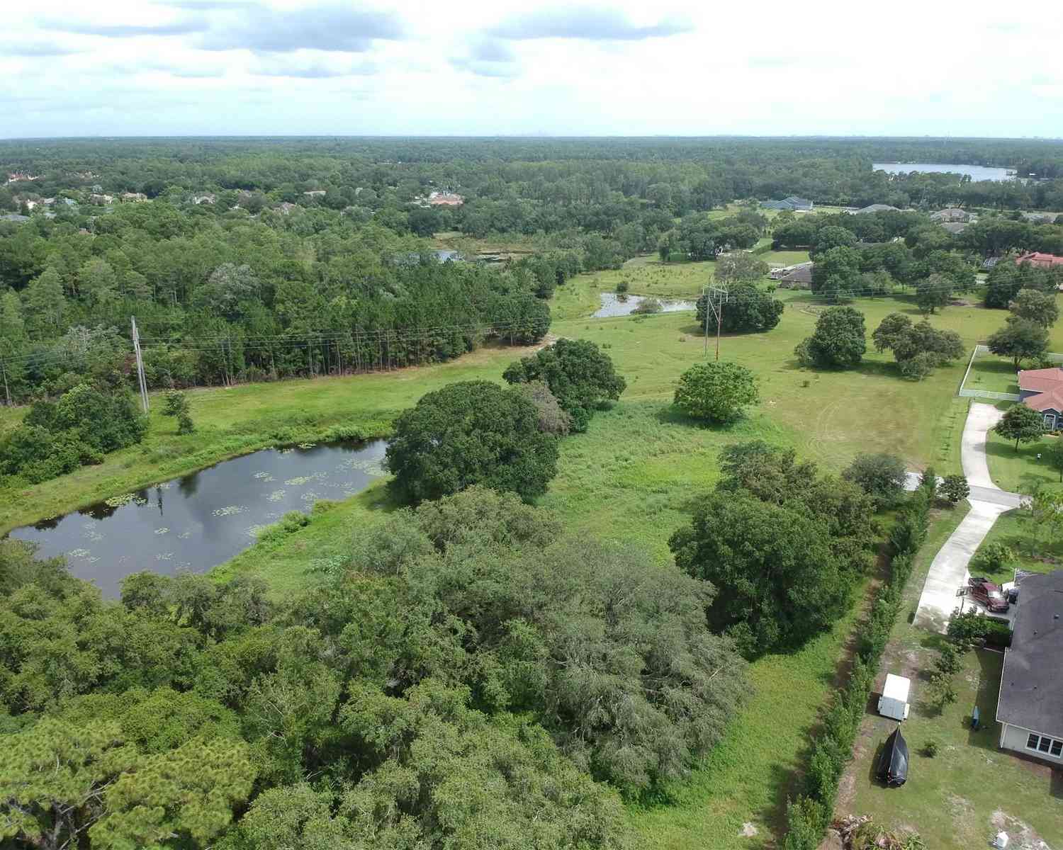 7702 Rosa Maria Lane, ODESSA, Florida image 3