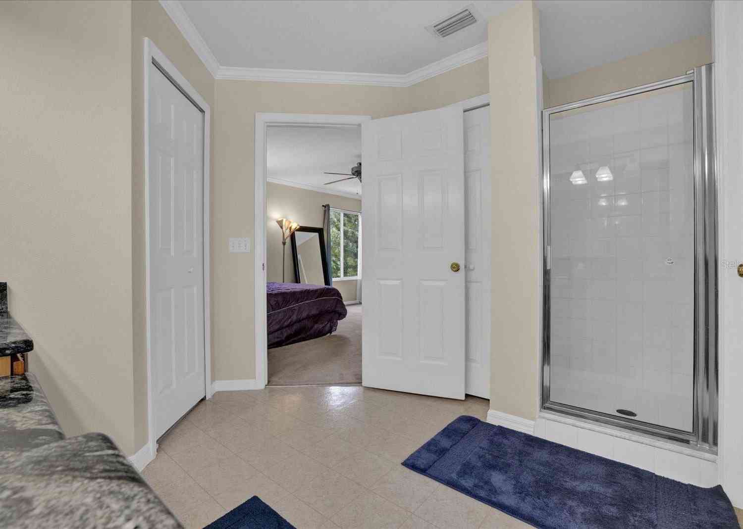 13504 Prestwick Drive, RIVERVIEW, Florida image 20