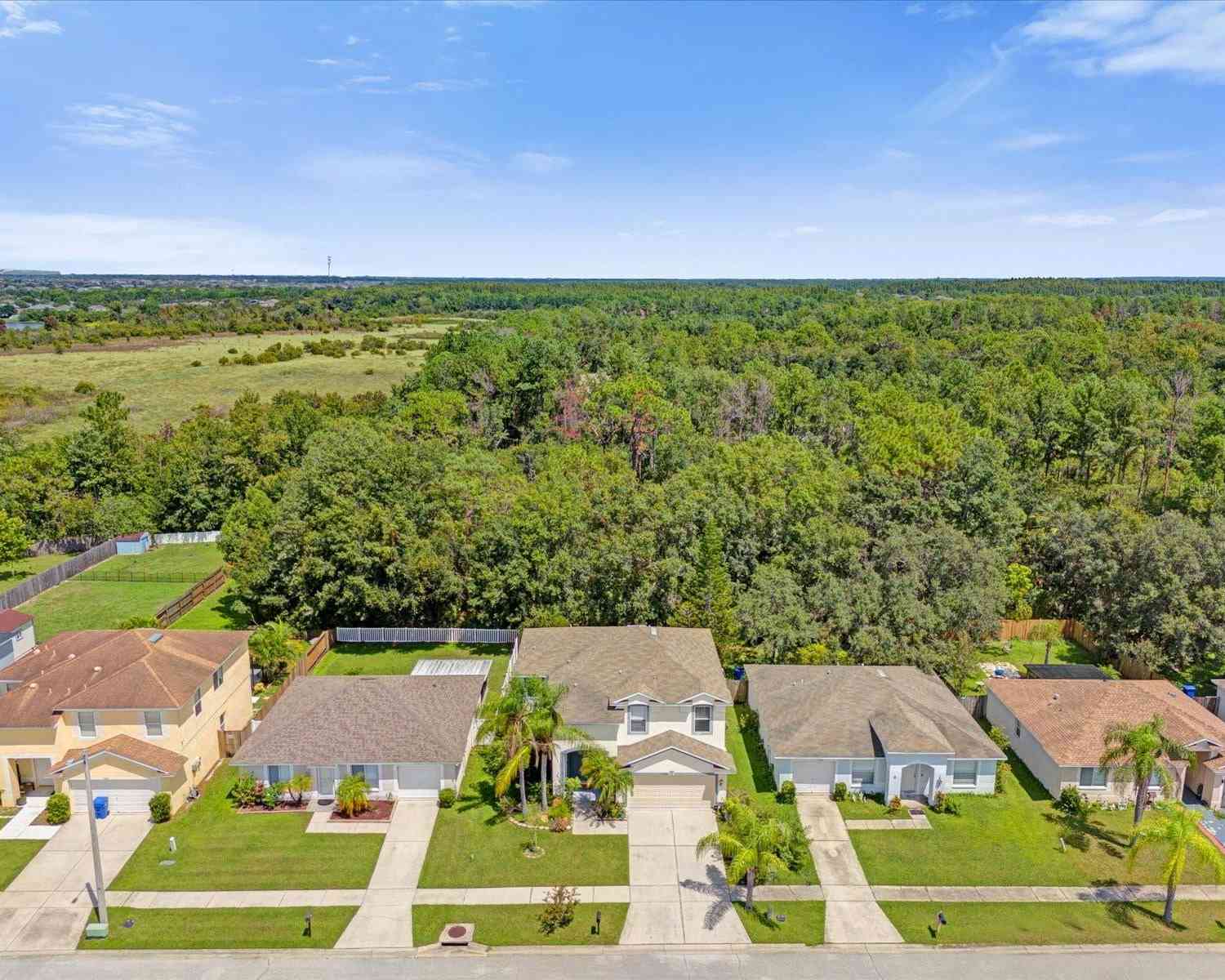 13504 Prestwick Drive, RIVERVIEW, Florida image 4