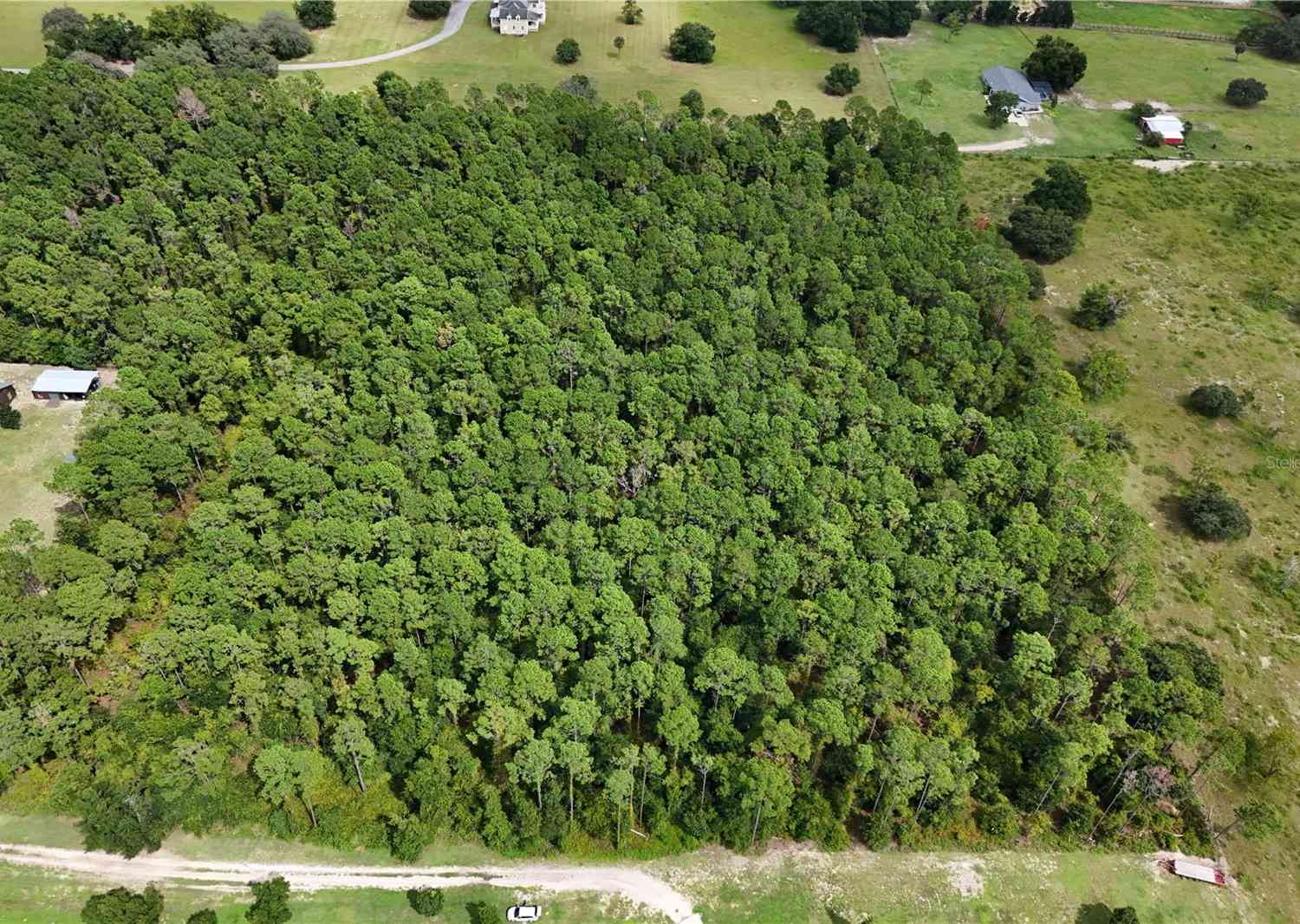 TBD Lake Seneca Road, EUSTIS, Florida image 8