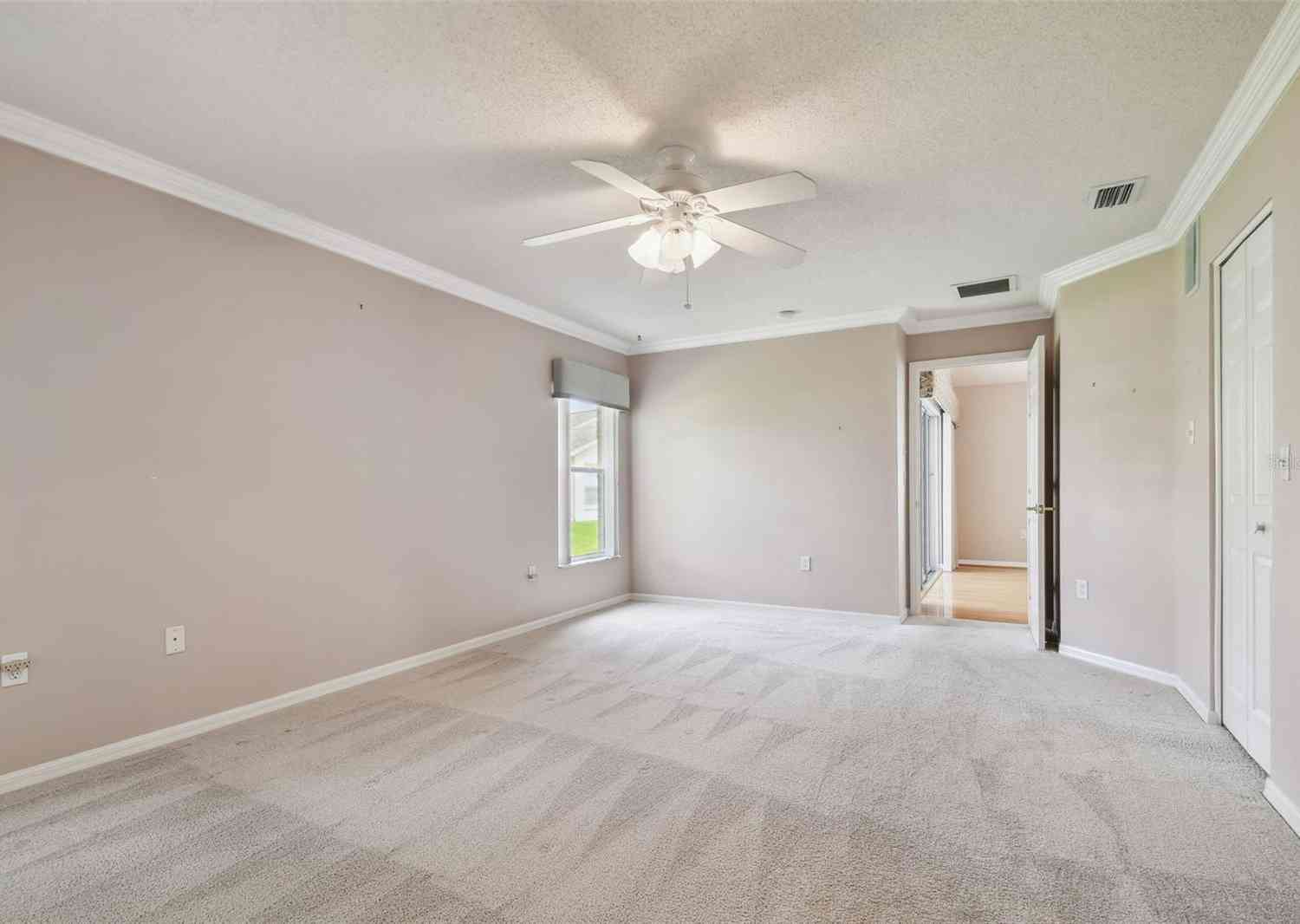 11609 Weaver Park Court, TRINITY, Florida image 36