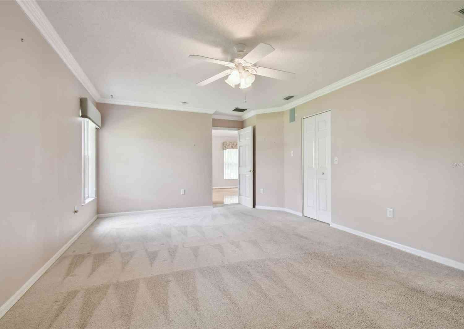 11609 Weaver Park Court, TRINITY, Florida image 35