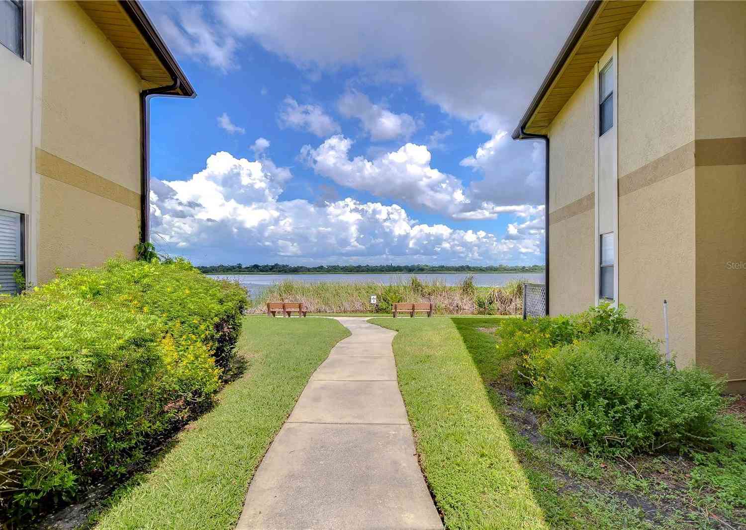 10100 Sailwinds Boulevard #205, LARGO, Florida image 27