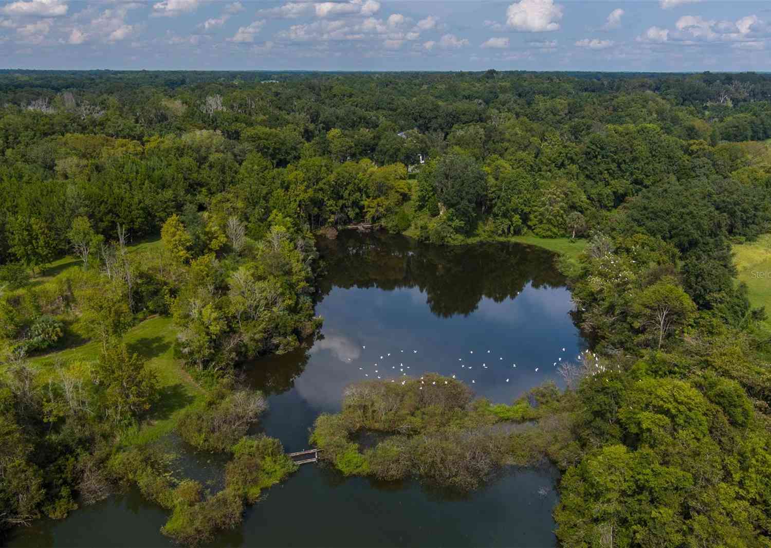 15607 SE 47th Avenue, SUMMERFIELD, Florida image 42