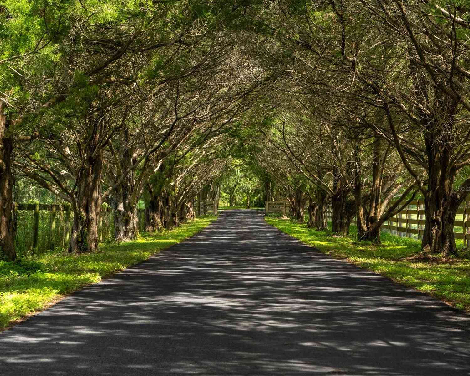 15607 SE 47th Avenue, SUMMERFIELD, Florida image 2