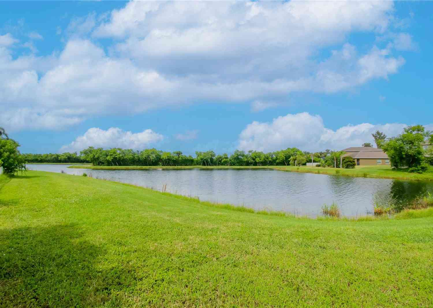 1307 Pasadena Bloom Lane, RUSKIN, Florida image 38