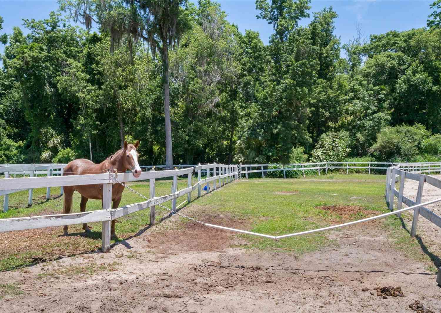 245 Crown Oaks Way #245, LONGWOOD, Florida image 48