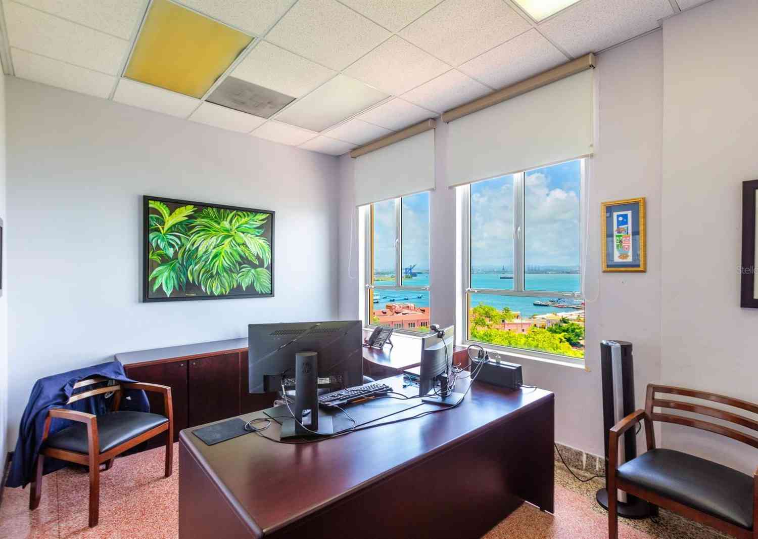 254 San Jose Street #5, SAN JUAN, Puerto Rico image 13