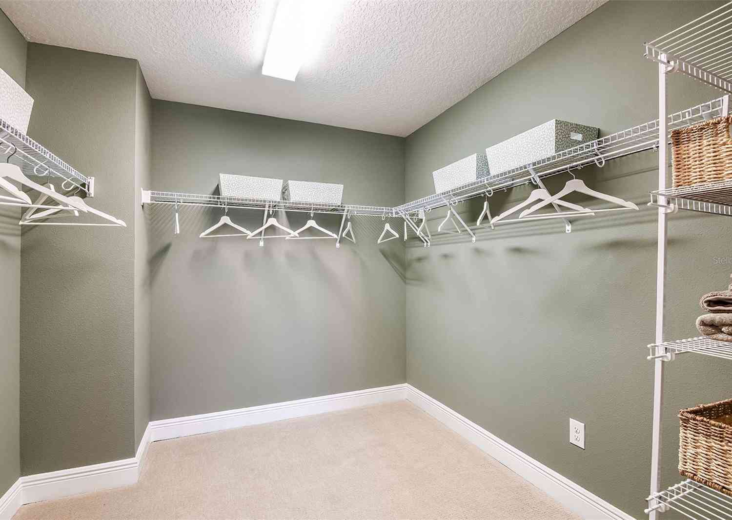 12840 Twin Bridges Drive, RIVERVIEW, Florida image 17
