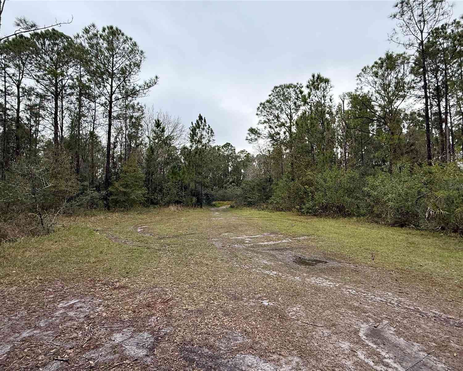 1012 Indian Lake Drive, INDIAN LAKE ESTATES, Florida image 4