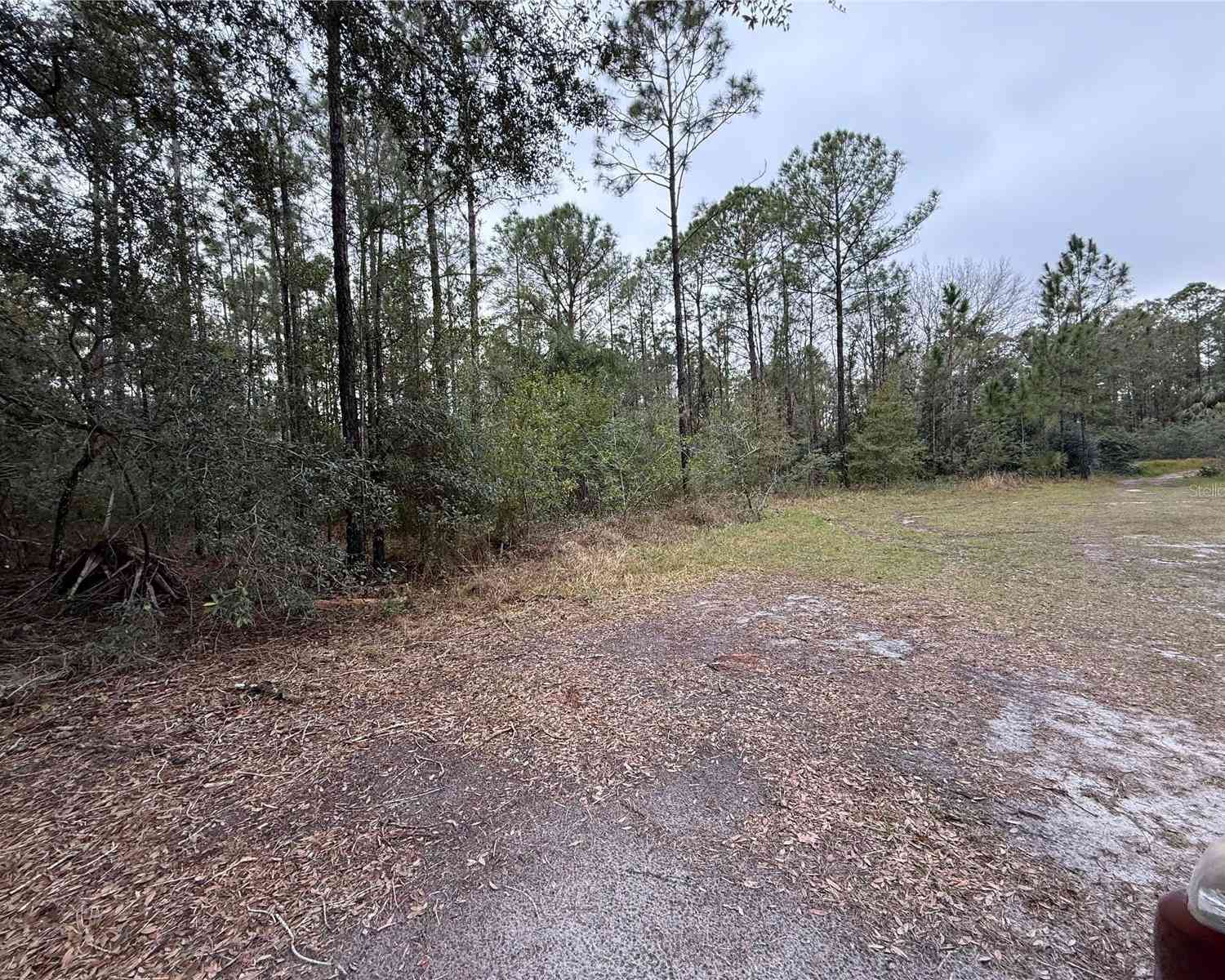 1012 Indian Lake Drive, INDIAN LAKE ESTATES, Florida image 3