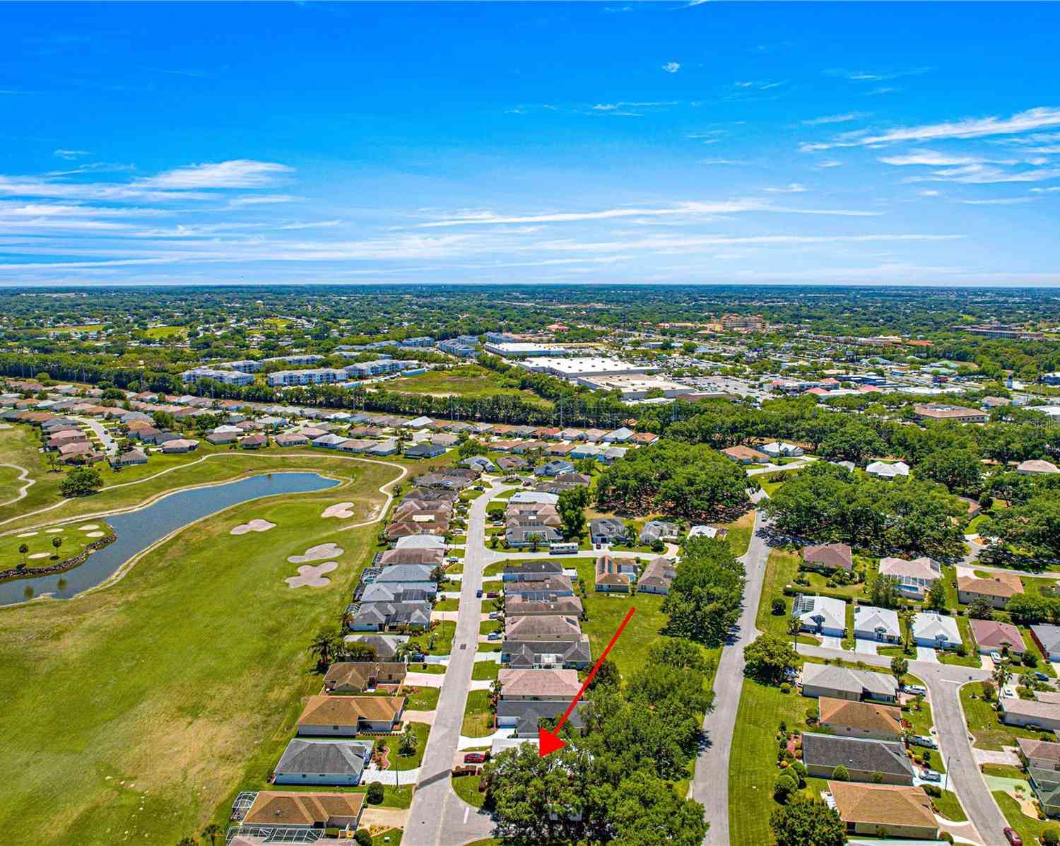 17808 SE 115th Court, SUMMERFIELD, Florida image 10