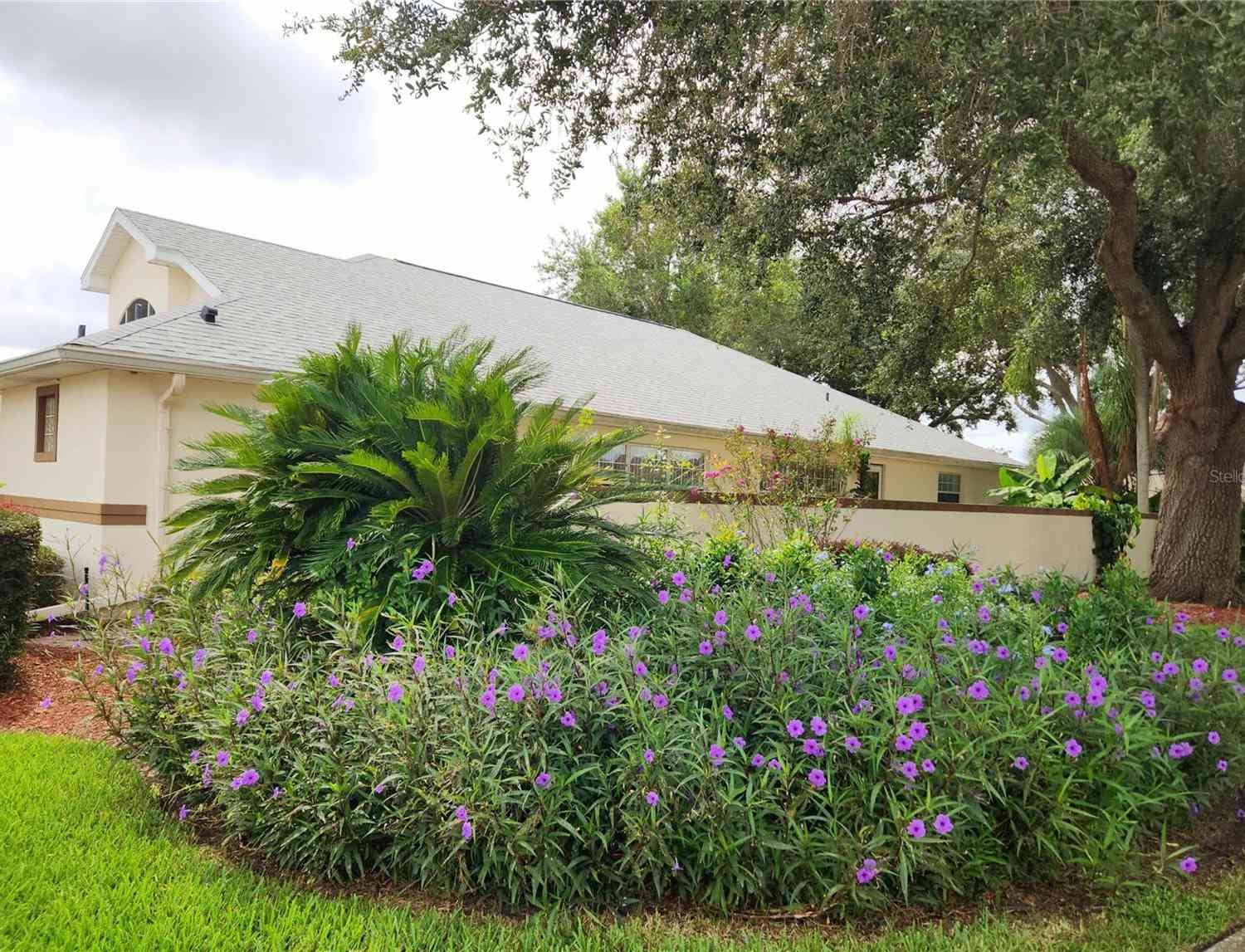 17808 SE 115th Court, SUMMERFIELD, Florida image 4
