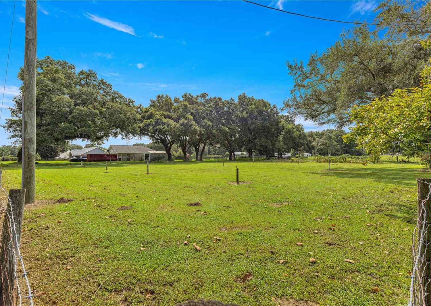 1000 SE 155th Street, SUMMERFIELD, Florida image 49