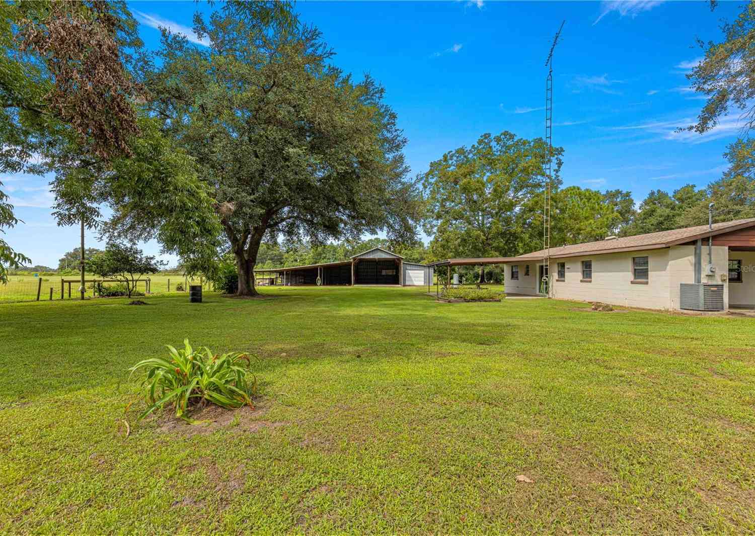 1000 SE 155th Street, SUMMERFIELD, Florida image 3