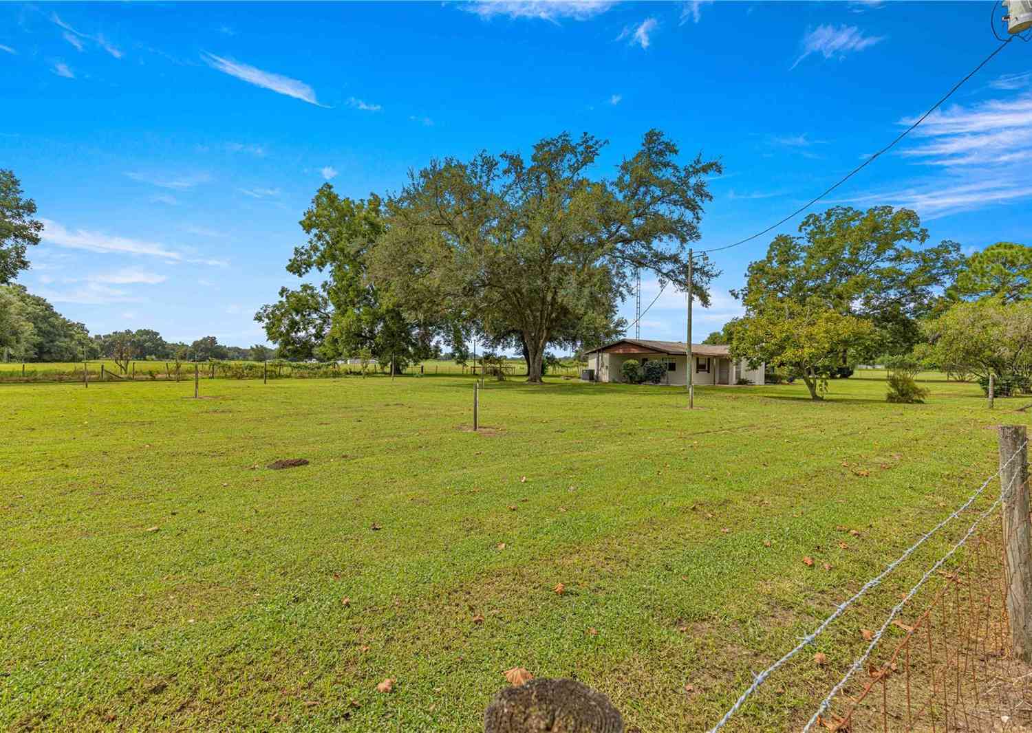 1000 SE 155th Street, SUMMERFIELD, Florida image 50