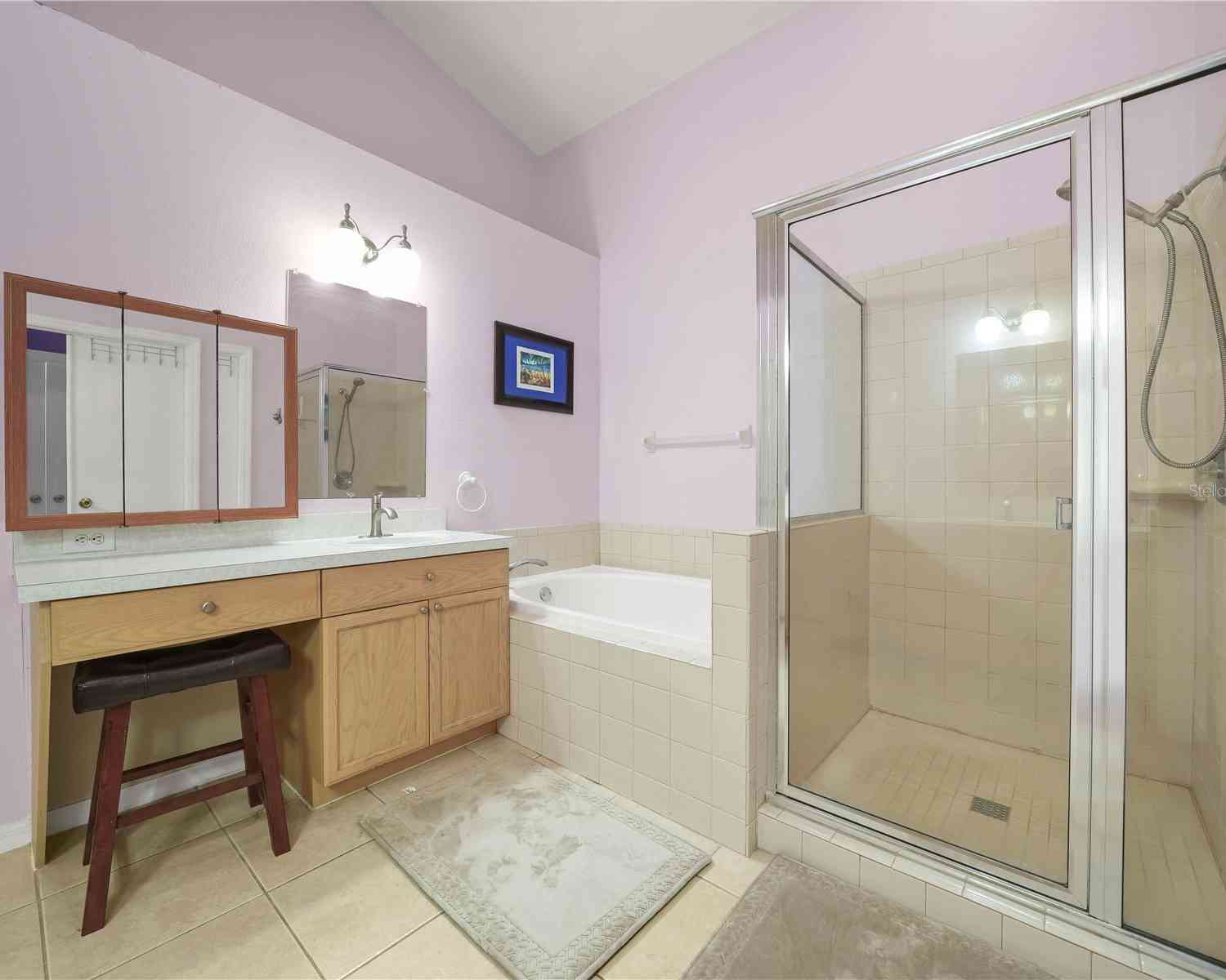 10507 Goldwater Lane, RIVERVIEW, Florida image 17