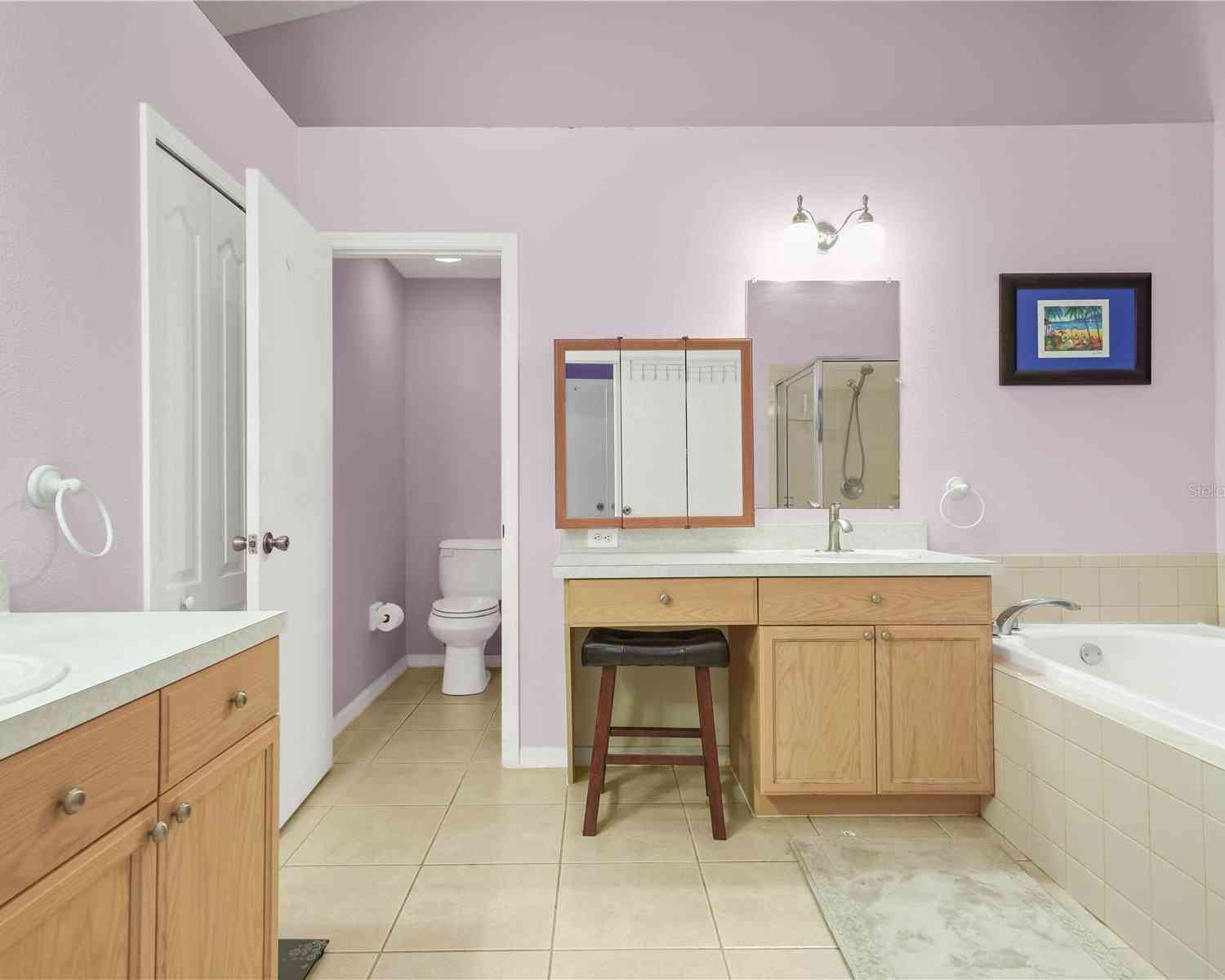 10507 Goldwater Lane, RIVERVIEW, Florida image 18
