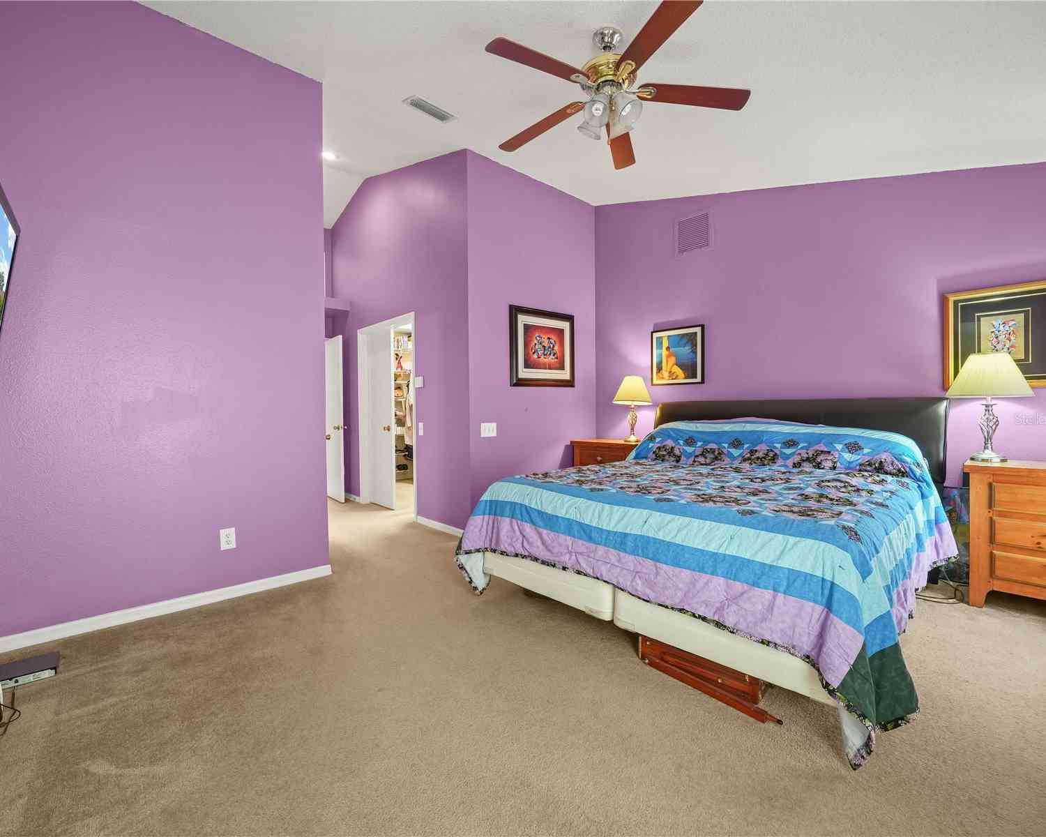 10507 Goldwater Lane, RIVERVIEW, Florida image 15