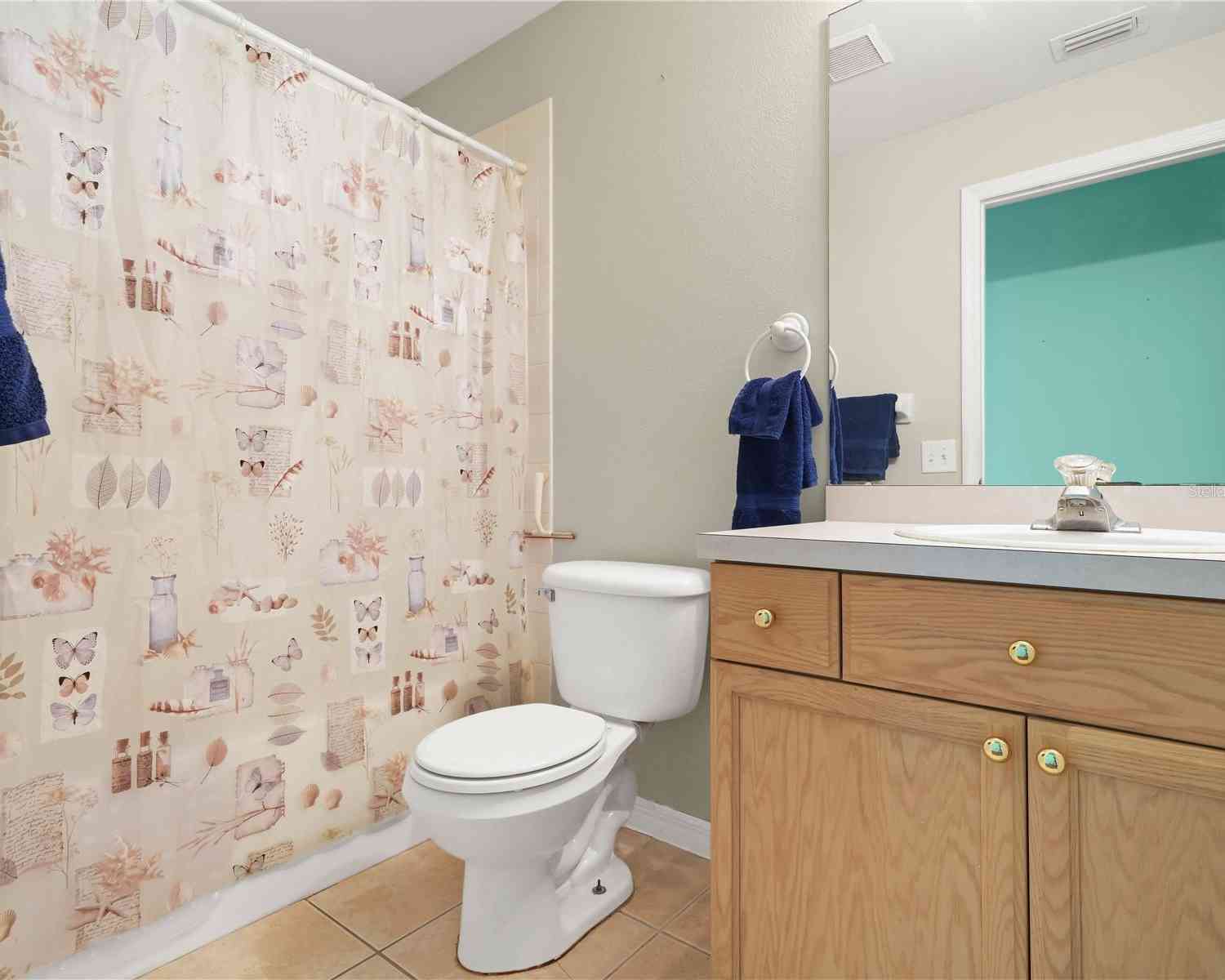 10507 Goldwater Lane, RIVERVIEW, Florida image 26