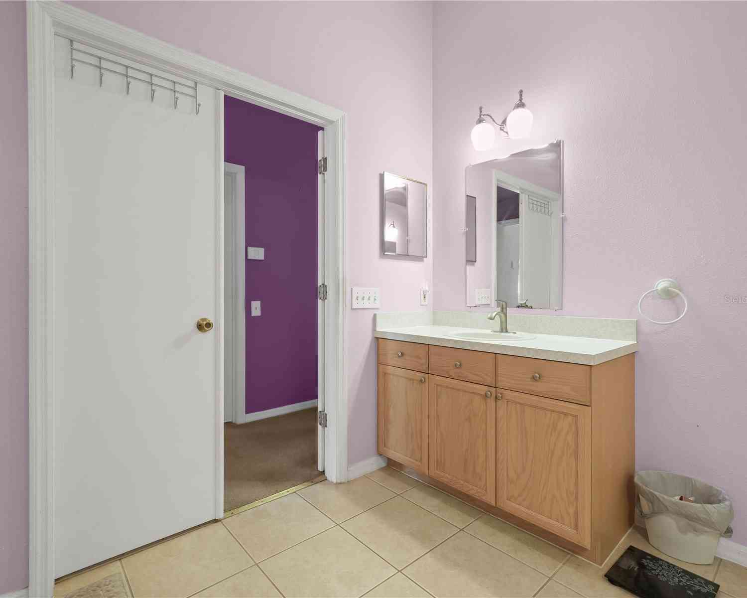 10507 Goldwater Lane, RIVERVIEW, Florida image 19