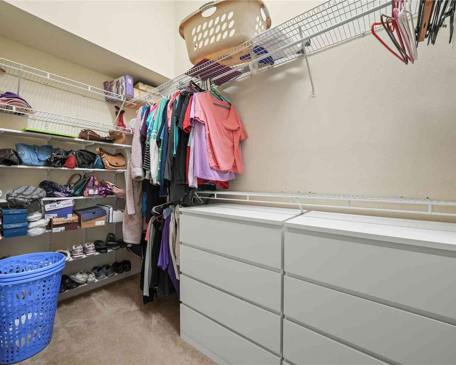 10507 Goldwater Lane, RIVERVIEW, Florida image 28