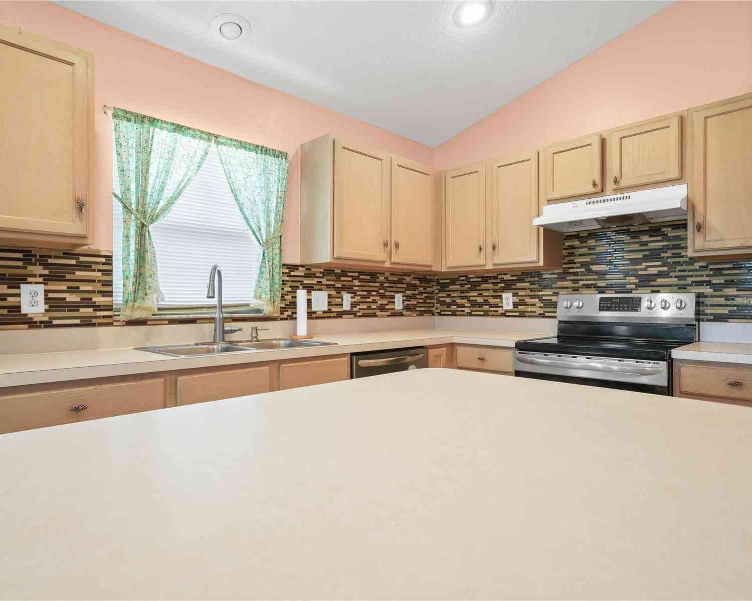 10507 Goldwater Lane, RIVERVIEW, Florida image 9