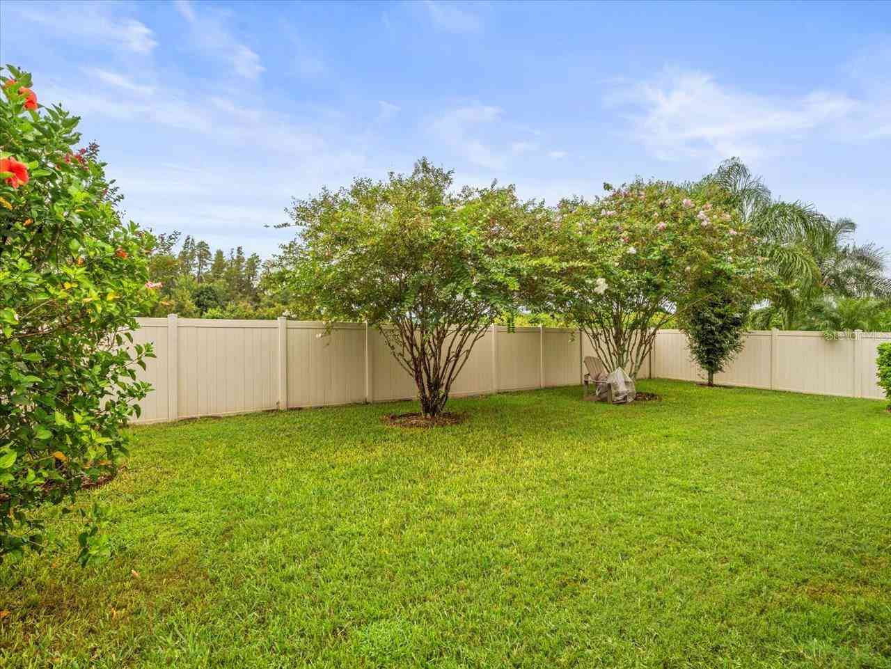 1100 Multiflora Loop, LUTZ, Florida image 47