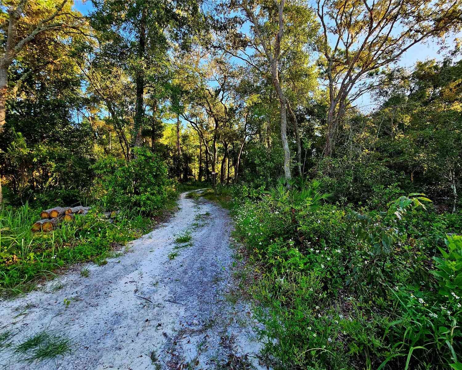 Berryhill Drive, WEBSTER, Florida image 11