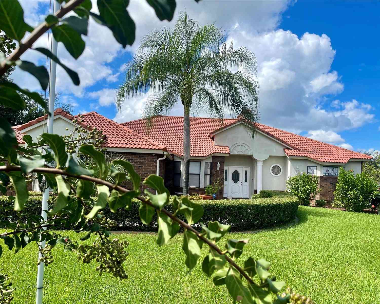 39331 Treeline Drive, LADY LAKE, Florida image 8