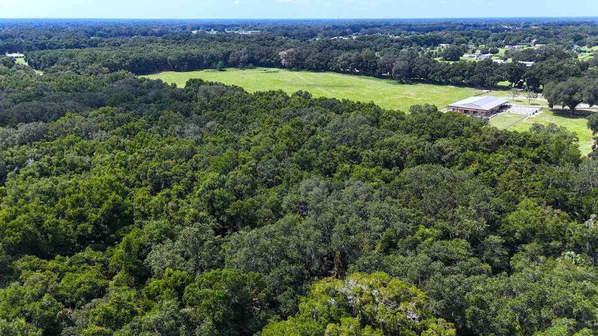 2051 SE 155th Street, SUMMERFIELD, Florida image 25