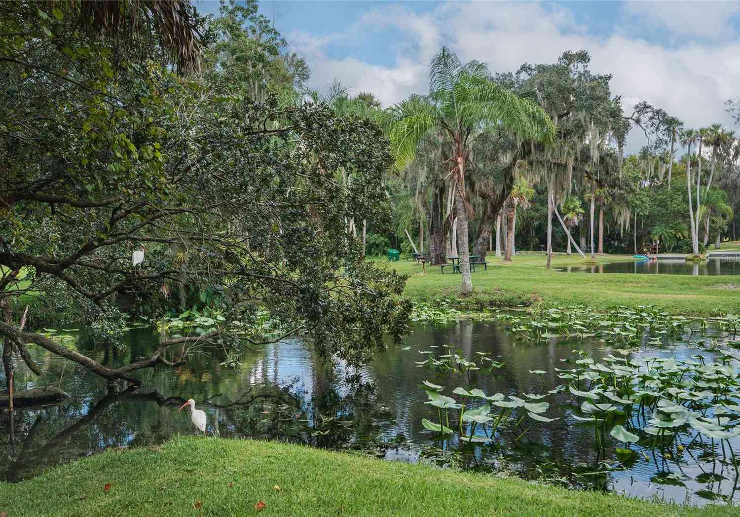 203 Tomoka Trail #203, LONGWOOD, Florida image 29