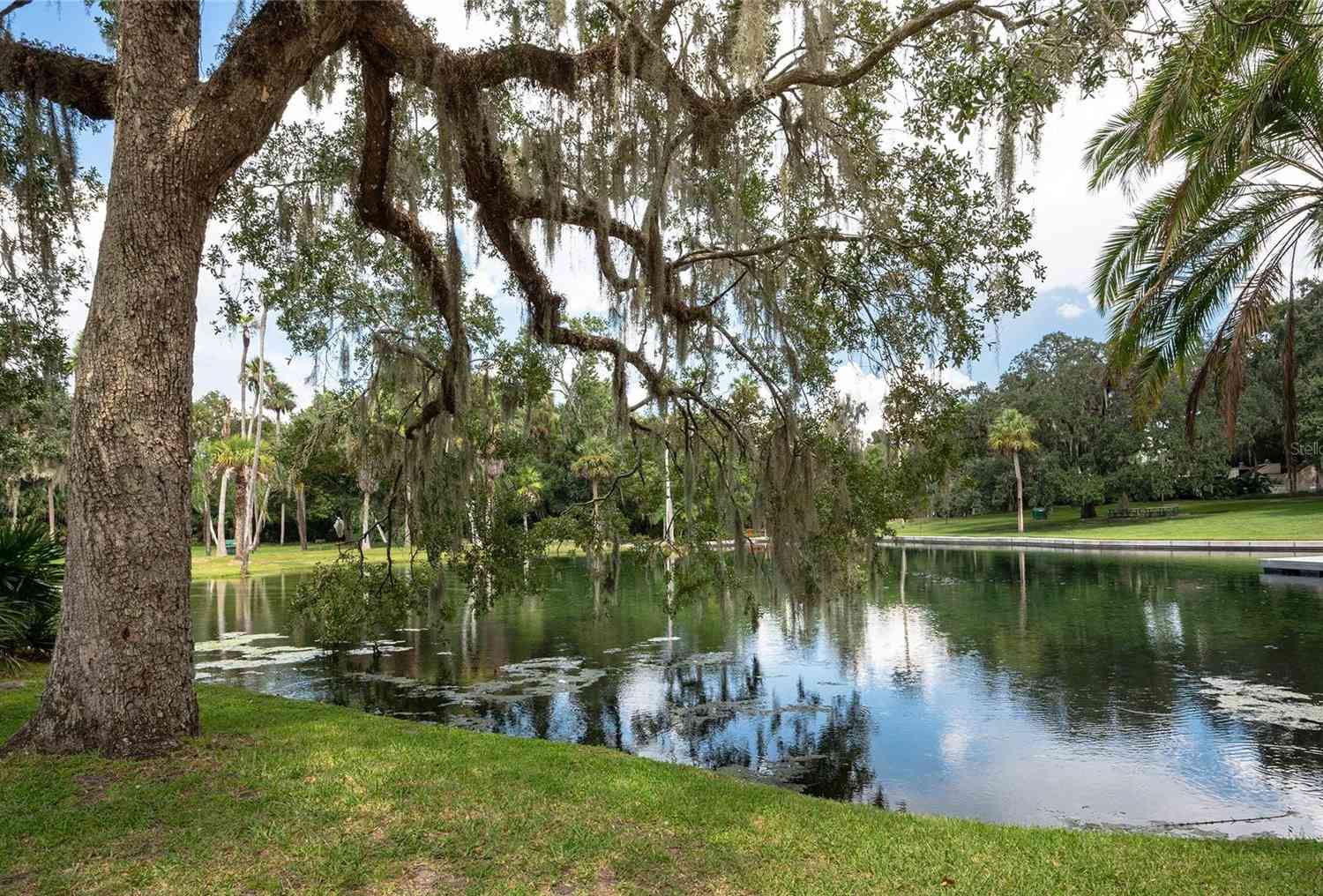 203 Tomoka Trail #203, LONGWOOD, Florida image 28