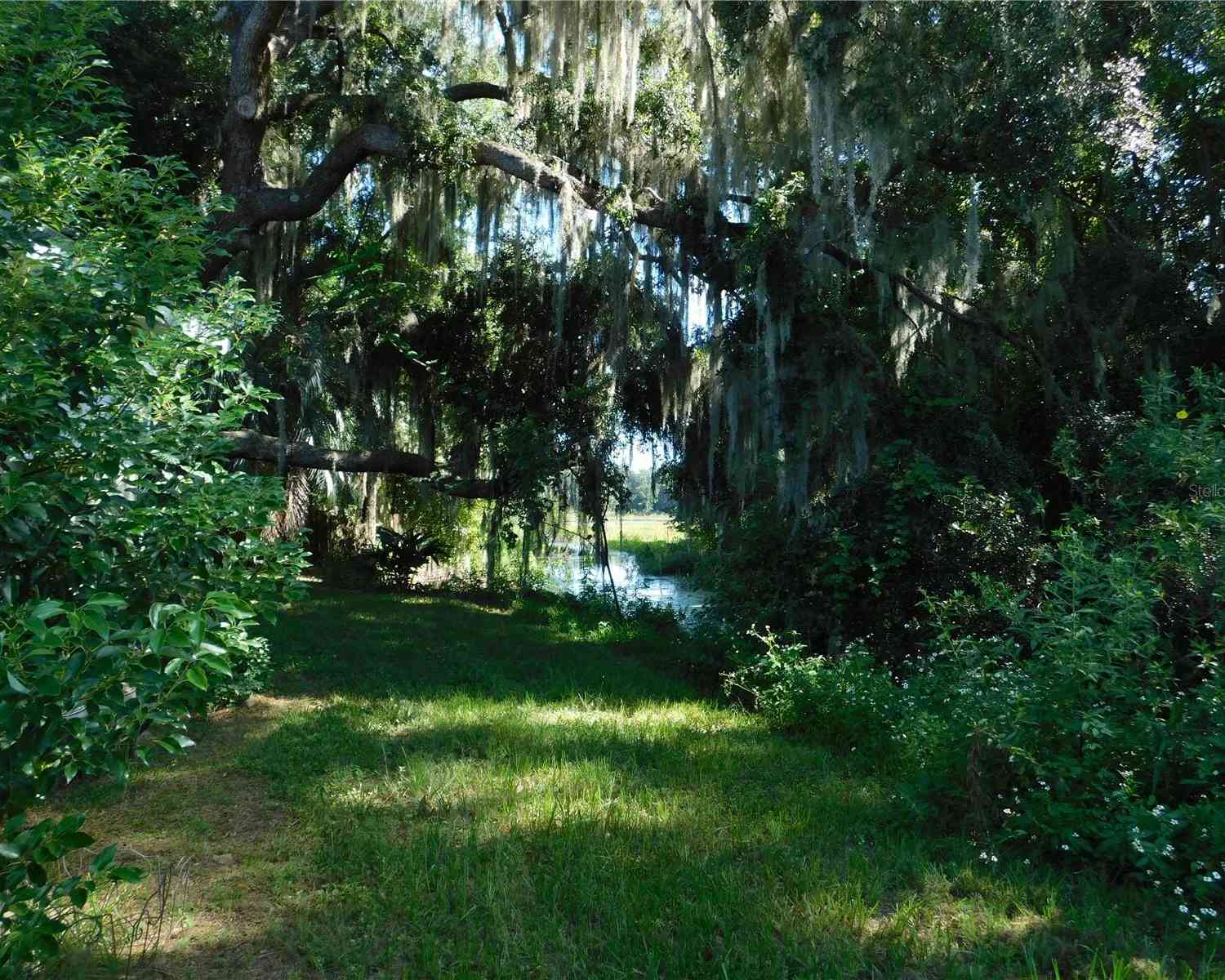 1585 SE 189th Avenue, SILVER SPRINGS, Florida image 6