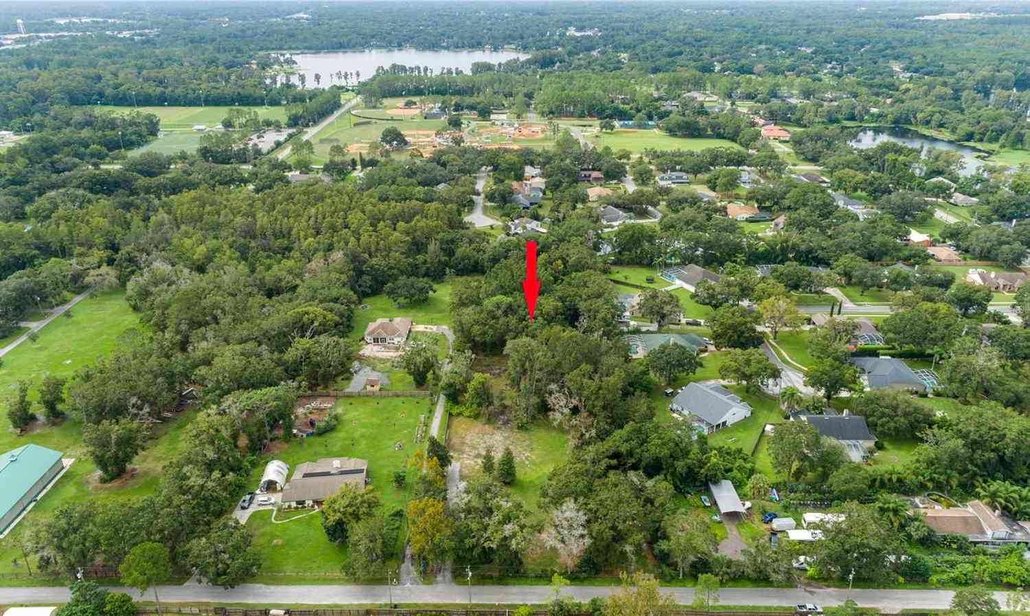 712 Welton Road, LUTZ, Florida image 25