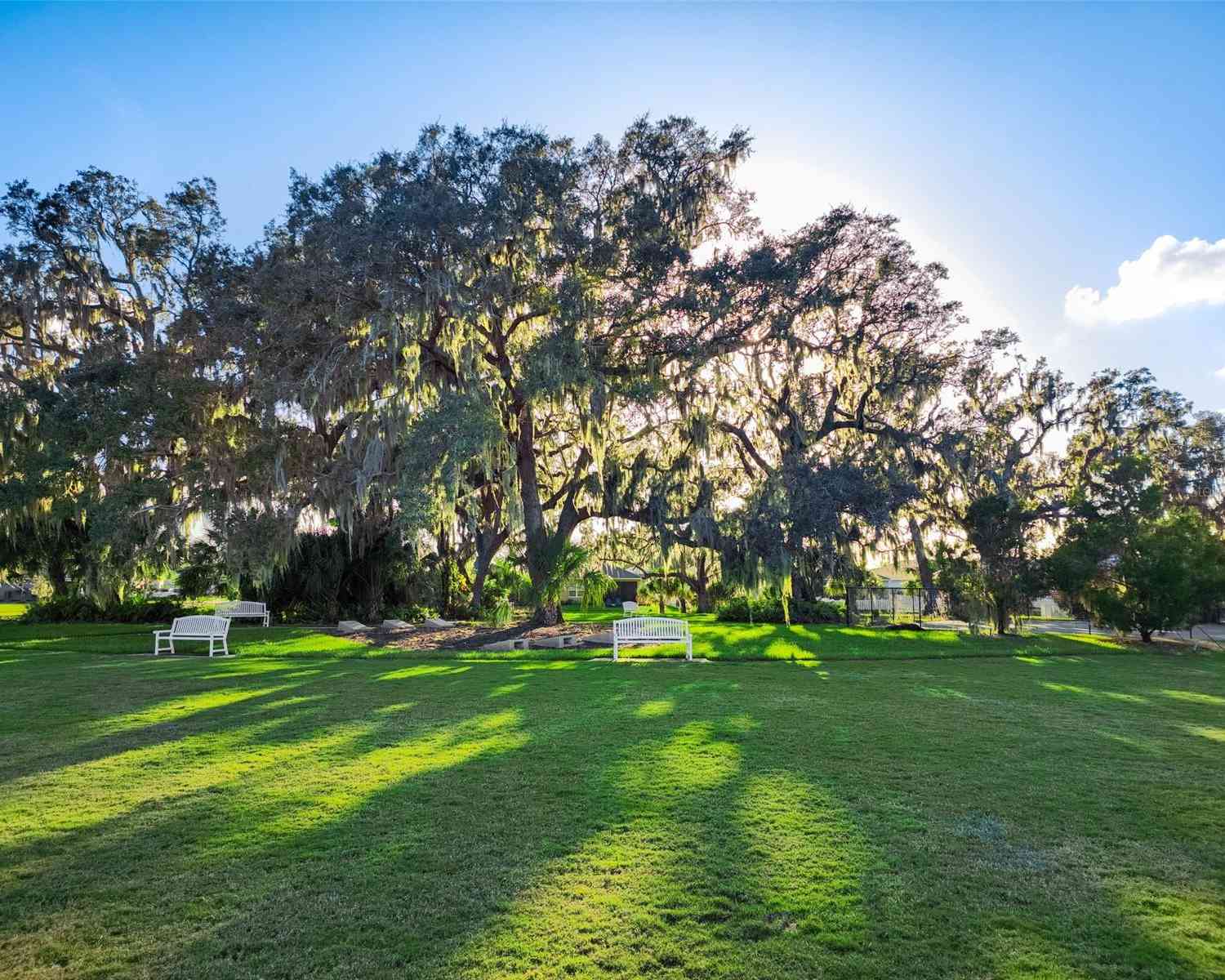 3832 Shimmering Oaks Drive, PARRISH, Florida image 48