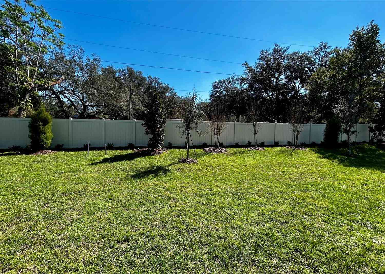 329 Lady Palm Street, APOPKA, Florida image 31
