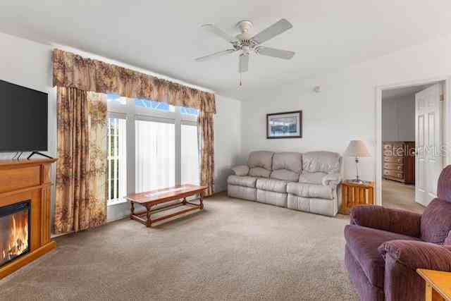 37631 Neukom Avenue, ZEPHYRHILLS, Florida image 21